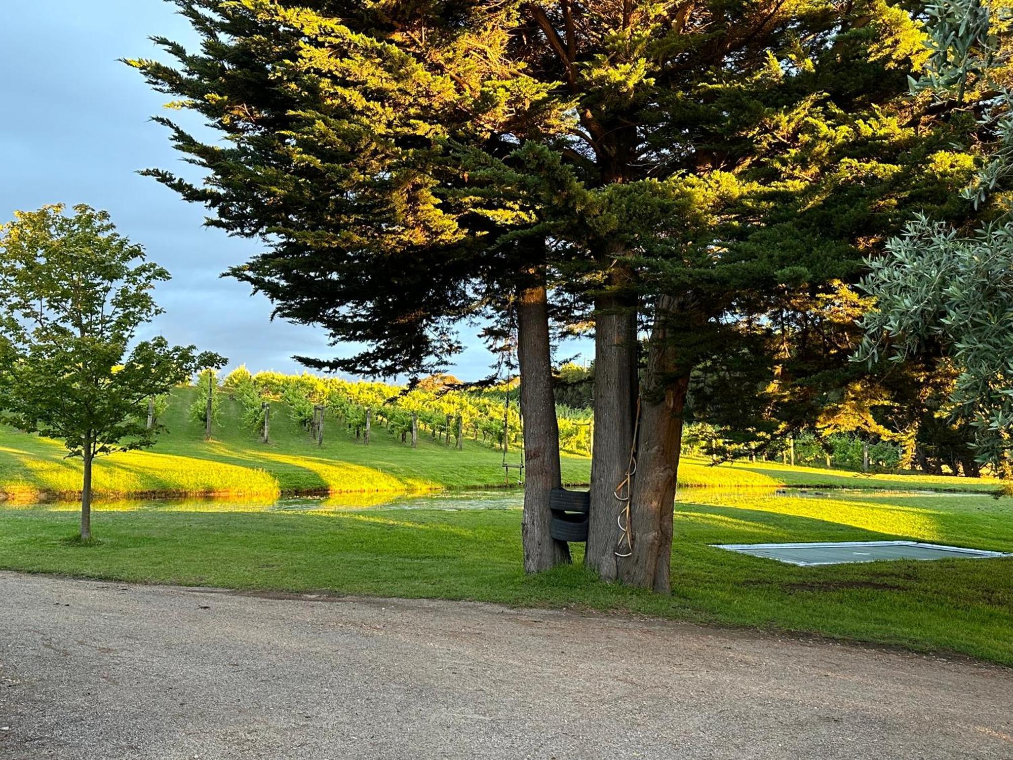 La Campagna Bed & Breakfast Boneo Екстериор снимка